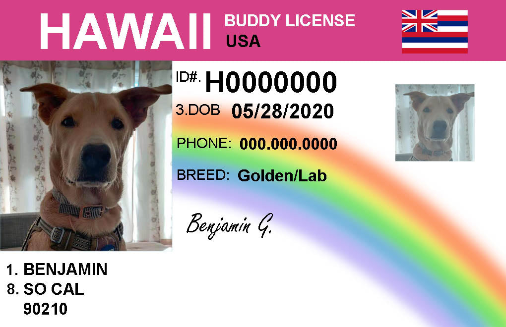 Pet Id Card
